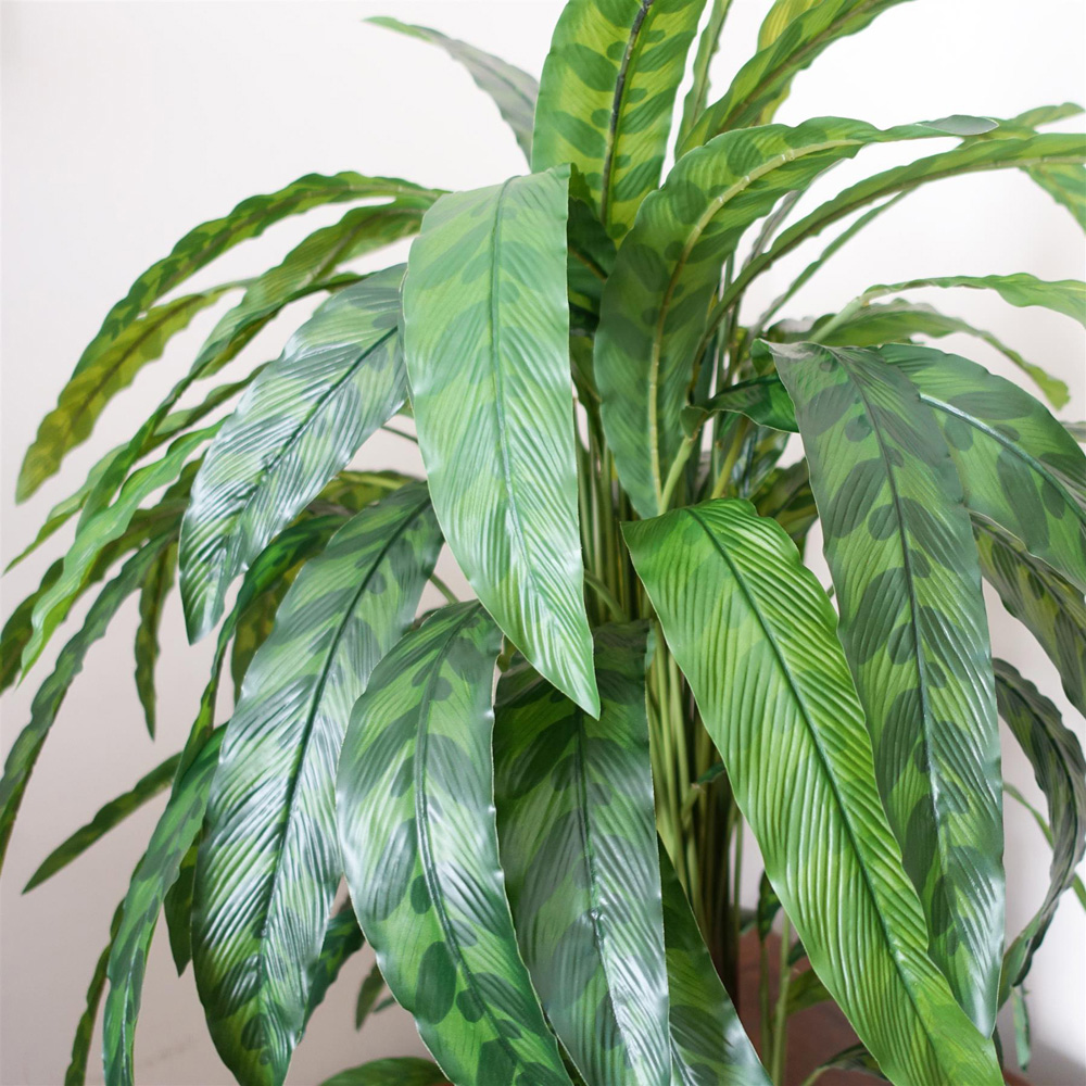 Leaf Green Variegated Calathea Artificial Plant Pot 2.9ft Image 3