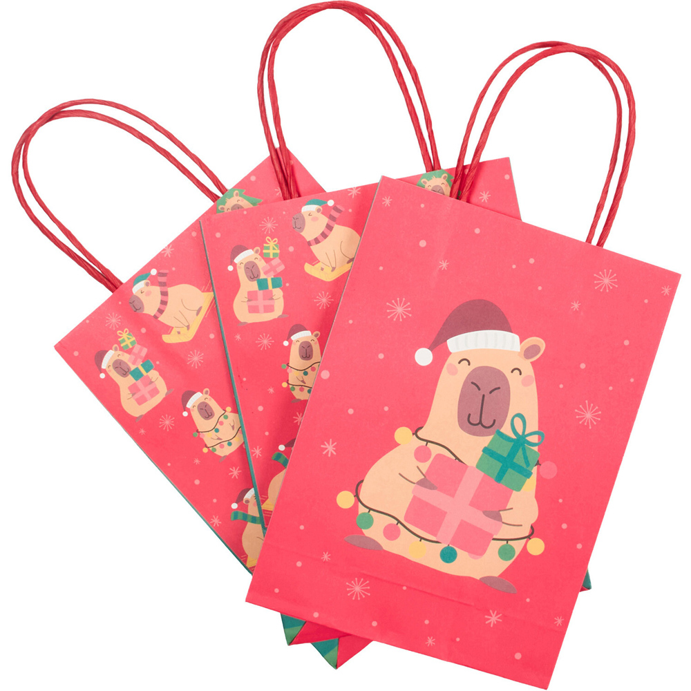 Pack of 10 Christmas Capybara Party Bags Image 5