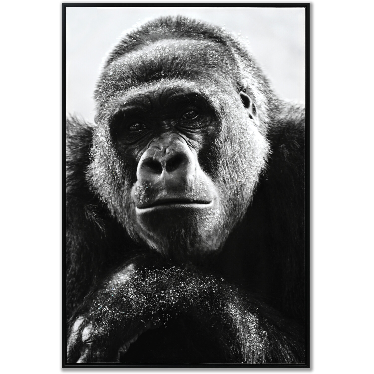 Pondering Gorilla Monochrome Framed Art - Black Image 1