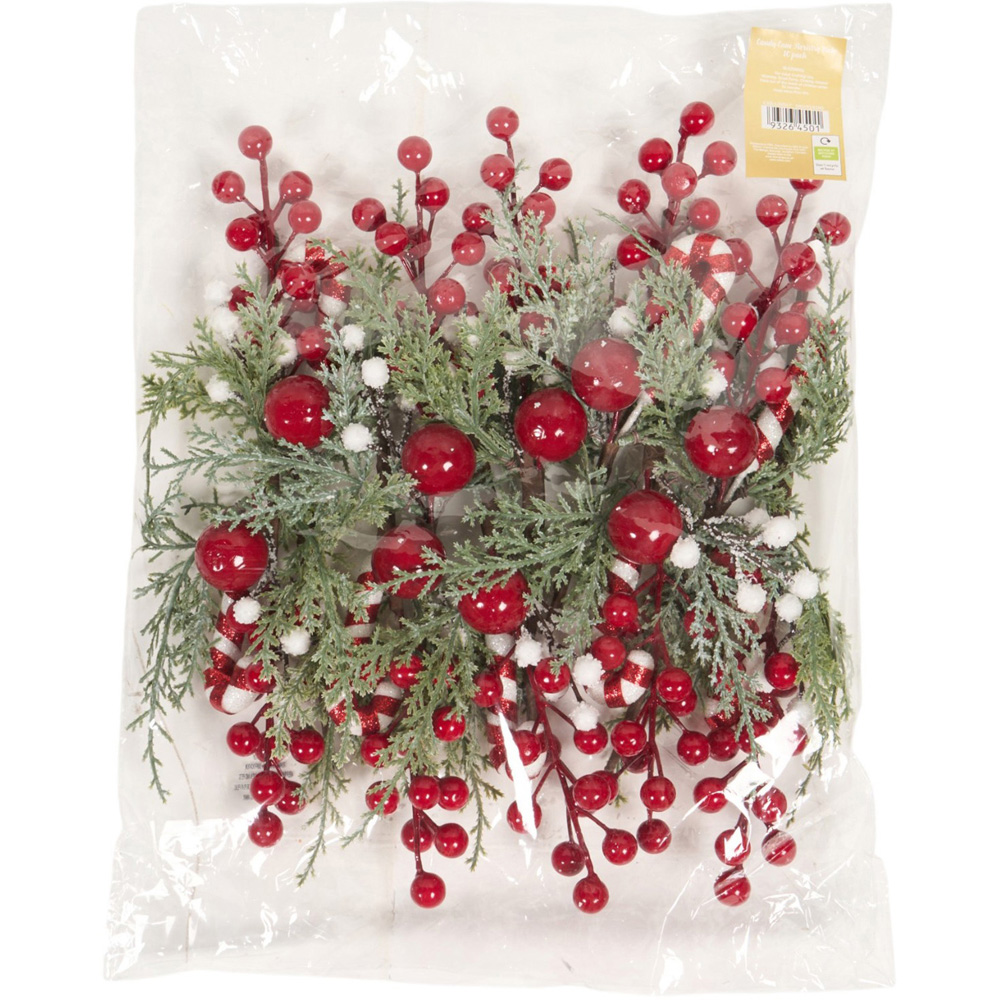 Pack of 10 Candy Cane Floristry Picks Image 3