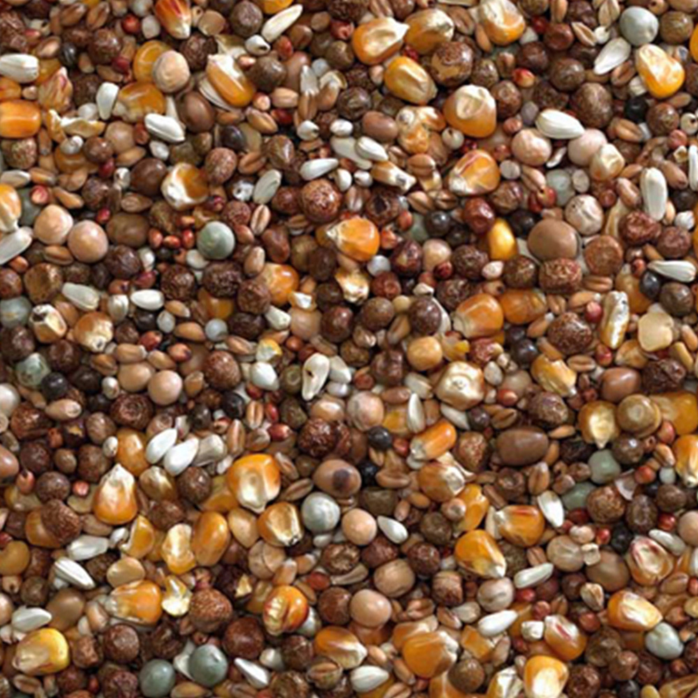 Bucktons Breeding Seed Mix 20kg Image 2
