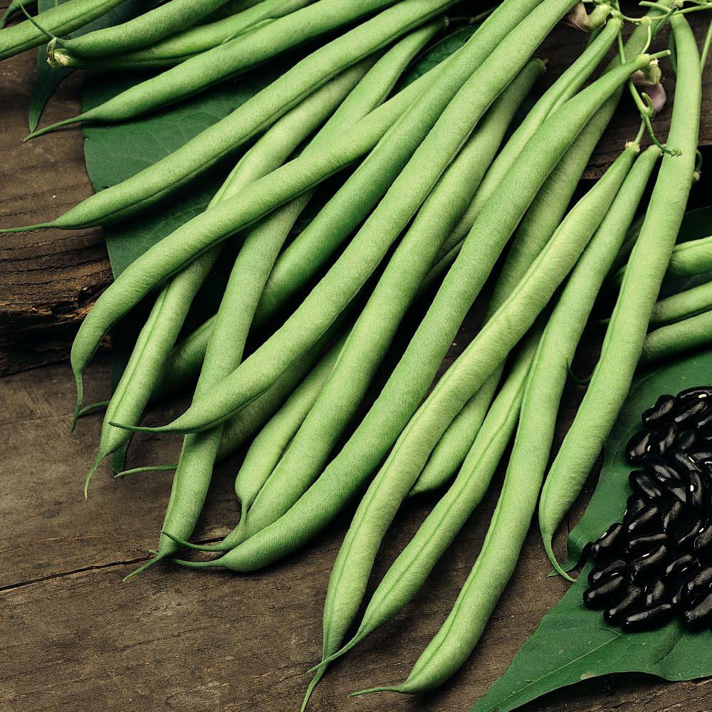 Thompson and Morgan Climbing French Bean Cobra Seeds Image 1