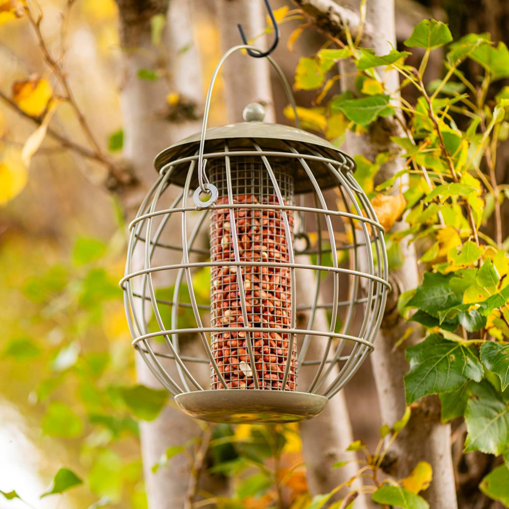 Thompson and Morgan Happy Beaks Orbital Squirrel Proof Peanut Feeder Image 4