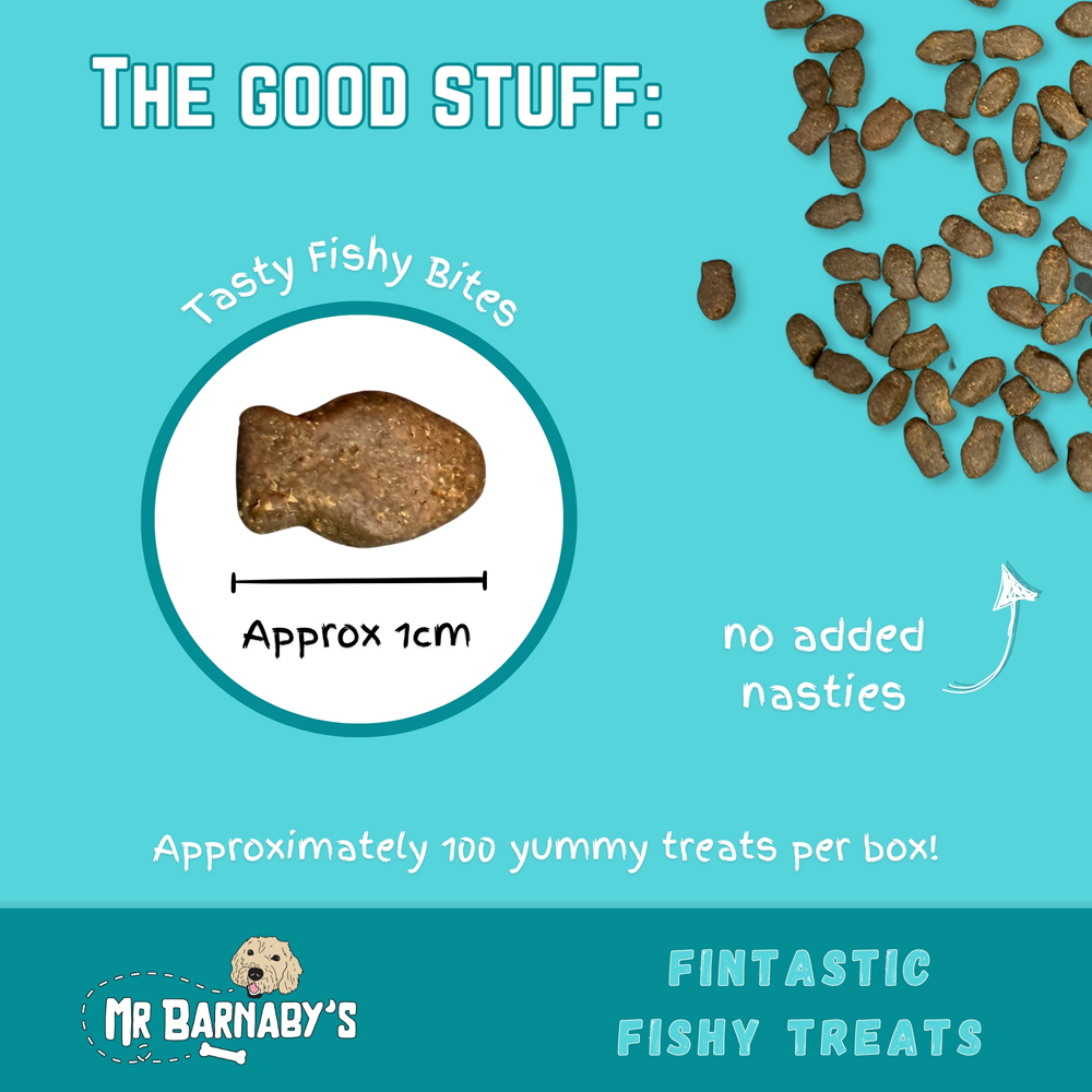 Mr Barnaby's Fintastic Fishy Grain-Free Hypoallergenic Dog Treats 100g 2 Pack Image 2