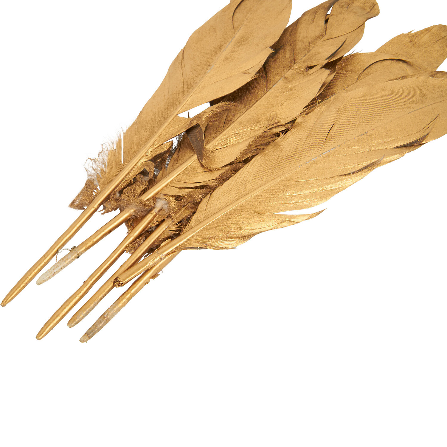 Pack of 6 True Moments Gold or Silver Feathers Image 2