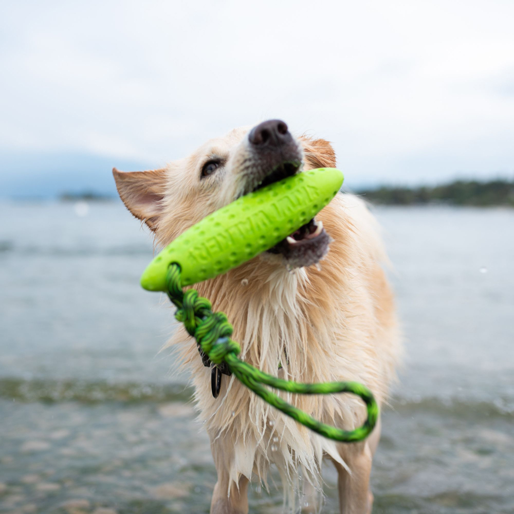 Kiwi Walker Lets Play Green Zeppelin Dog Toy Image 2