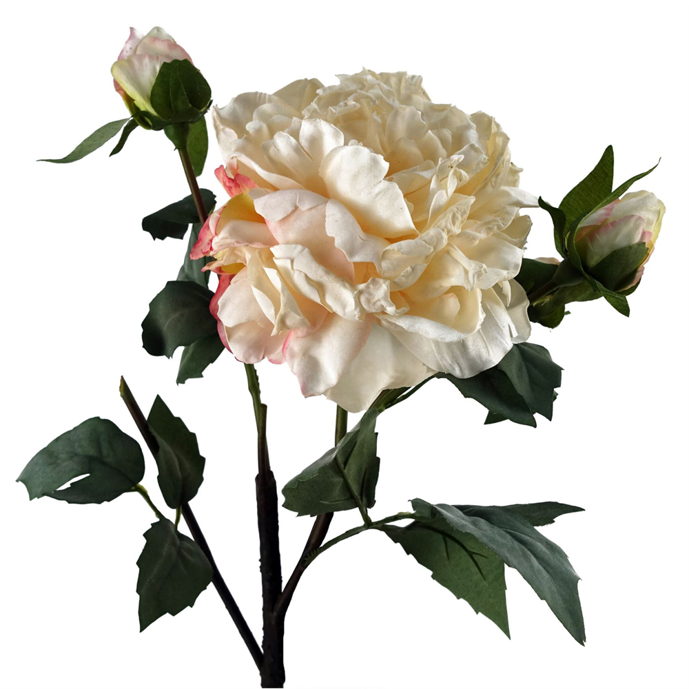 Leaf Cream Peony Single Stem Artificial Flower 2ft 6 Pack Image 3