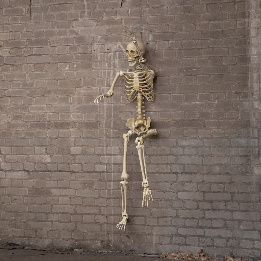 Samuel Alexander Posable Full Body Skeleton Halloween Decoration 5ft Image 3