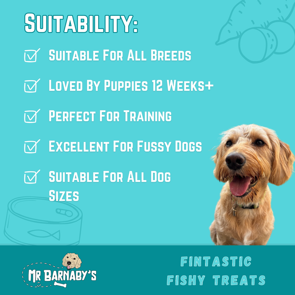 Mr Barnaby's Fintastic Fishy Grain-Free Hypoallergenic Dog Treats 100g 2 Pack Image 5