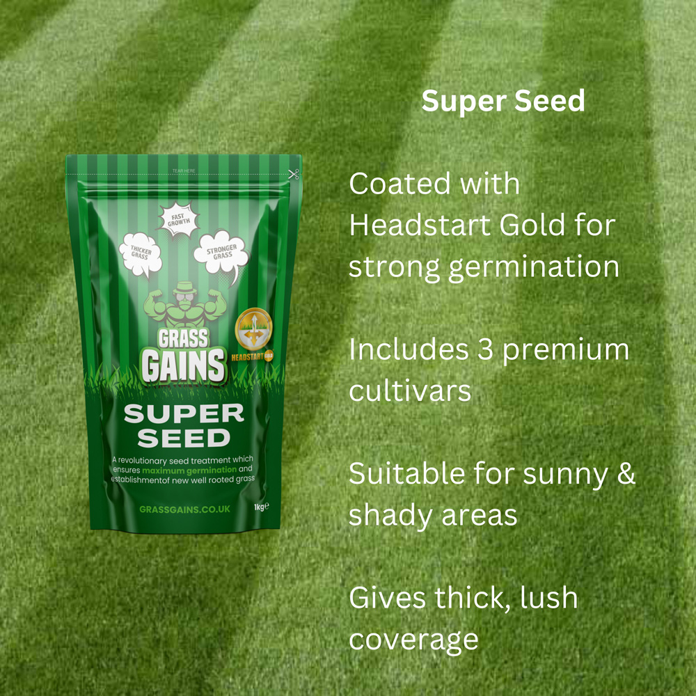 Grass Gains Black Edition and Super Seed Lawn Thickening Bundle Image 4