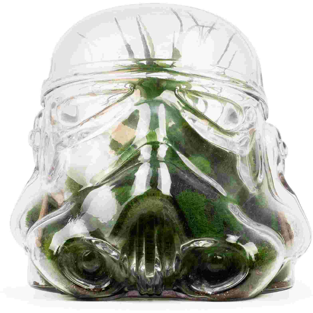 Thumbs Up Star Wars Original Stormtrooper Cookie Jar and Terrarium Image 3