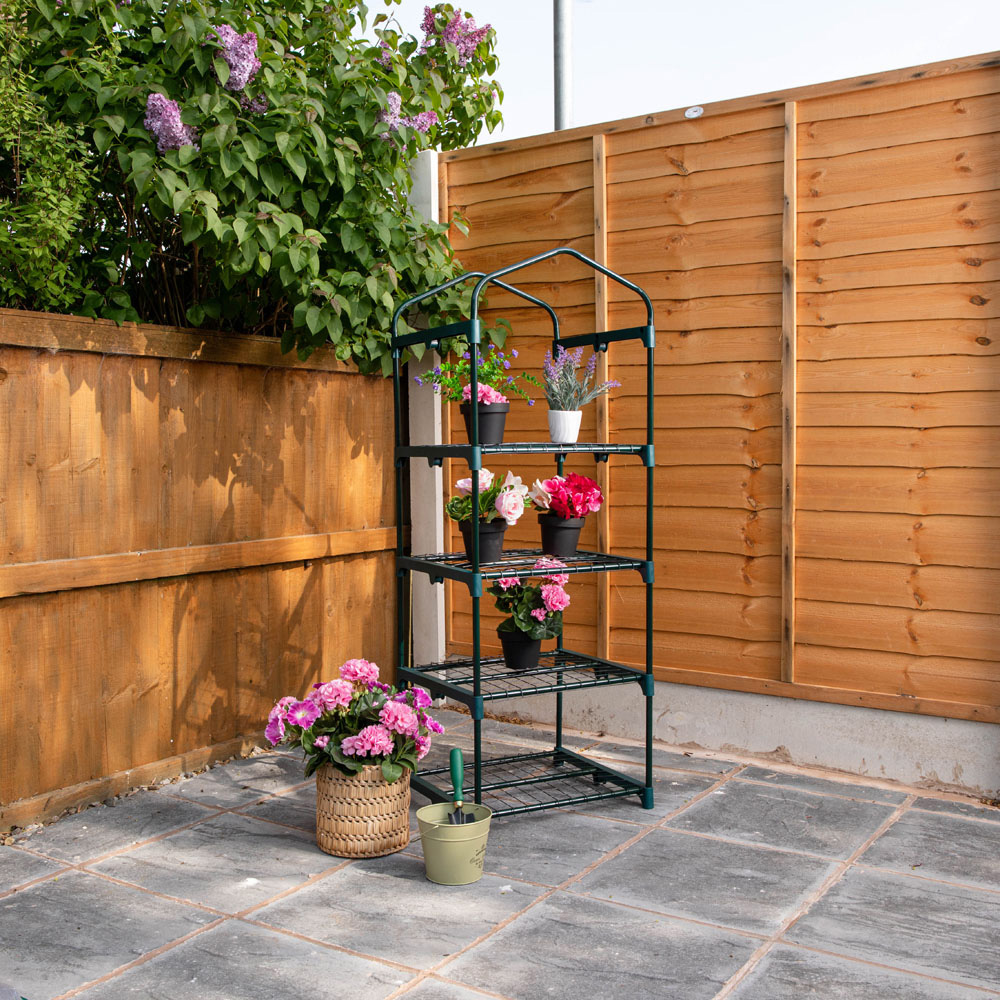 Samuel Alexander 4 Tier 3.2 x 1.6ft Greenhouse with Removable Cover Image 5