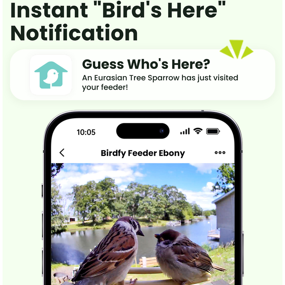 Birdfy Ebony Lite Wi-Fi Smart Solar Bird Feeder with 1080p FHD AI Camera Image 4