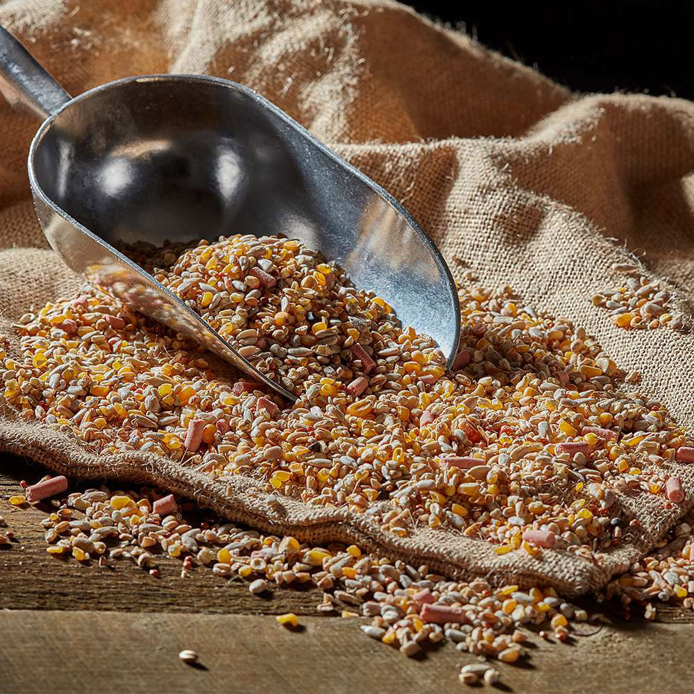 Happy Beak No Husk No Grow No Waste Wild Bird Seed Mix 12.75kg Image 3