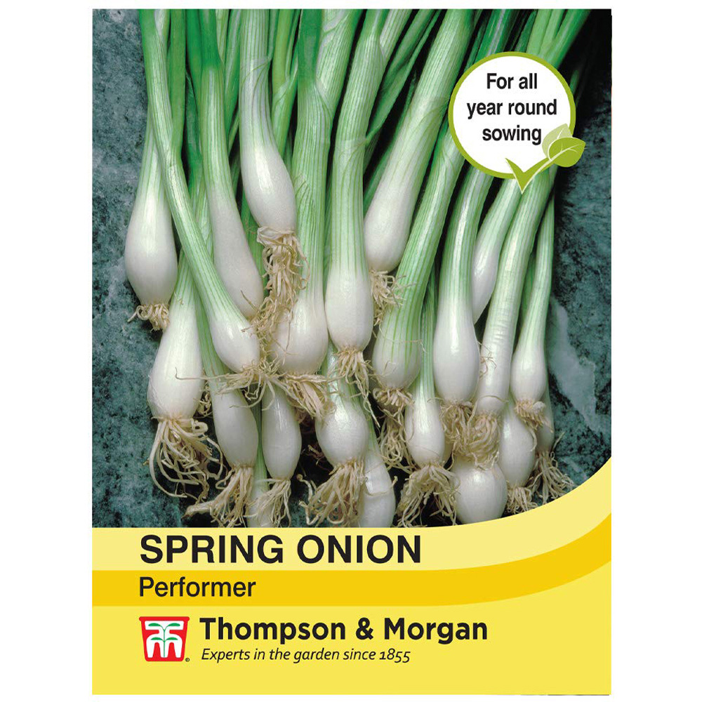 Thompson and Morgan Onion Performer Seeds Image 2