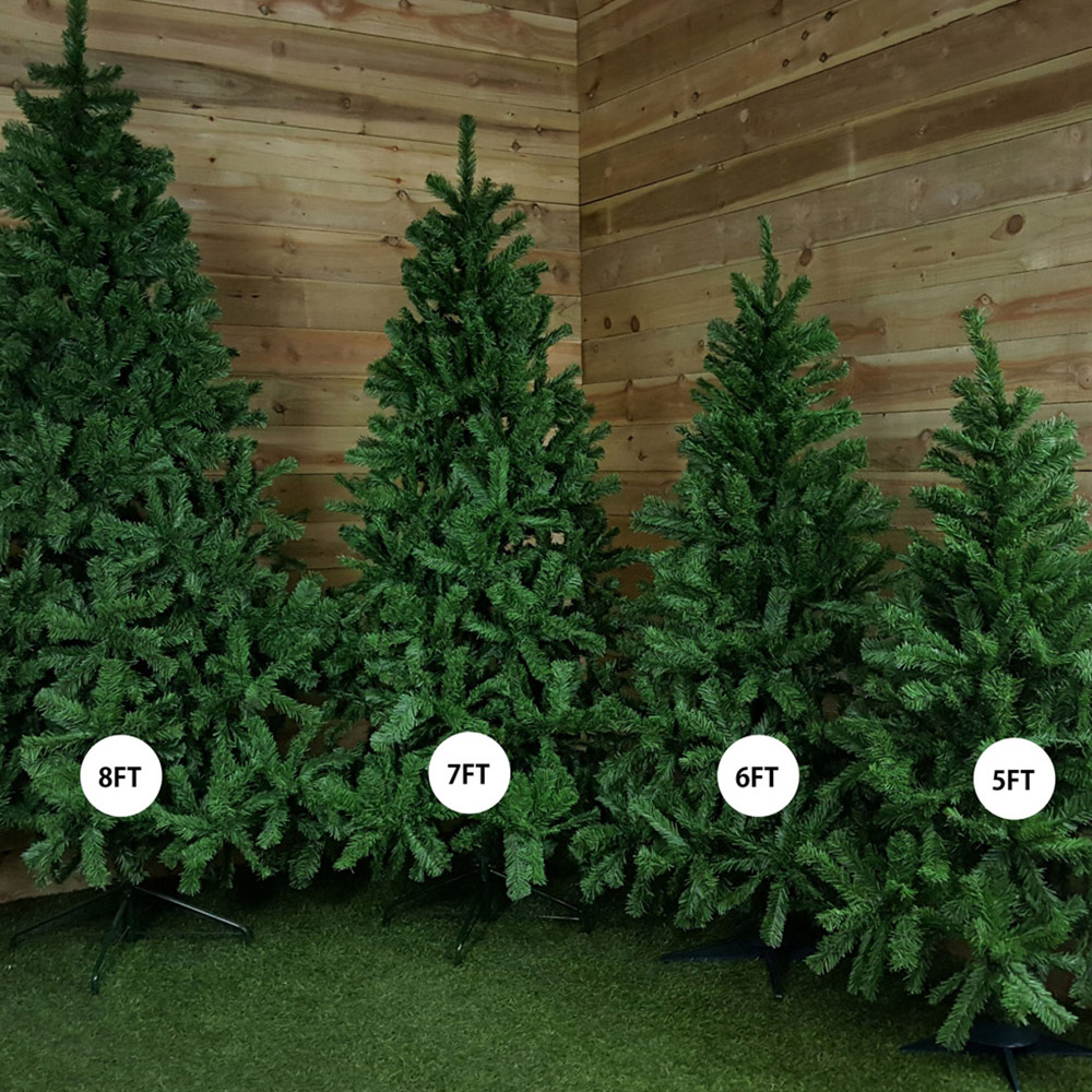 Samuel Alexander Green Colorado Spruce Christmas Tree 4ft Image 7