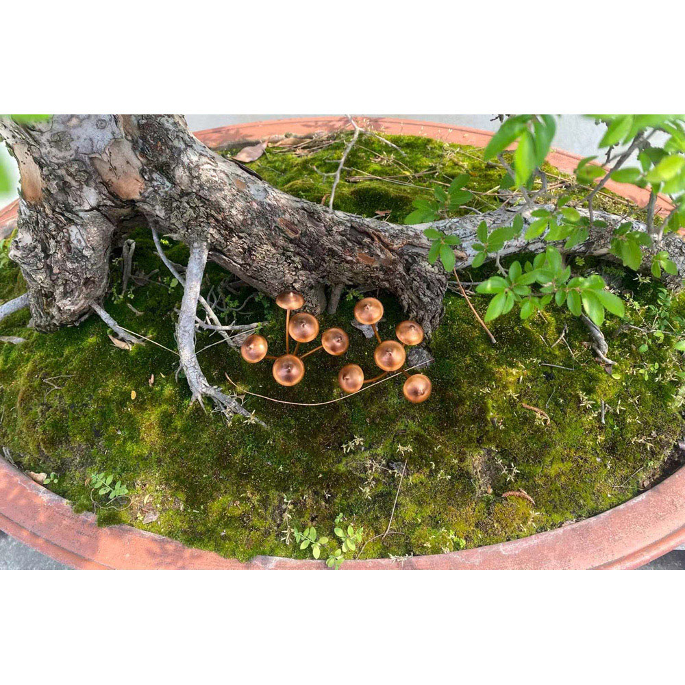 Avilo Copper Finish Mushroom Garden Stake 2 Pack Image 8