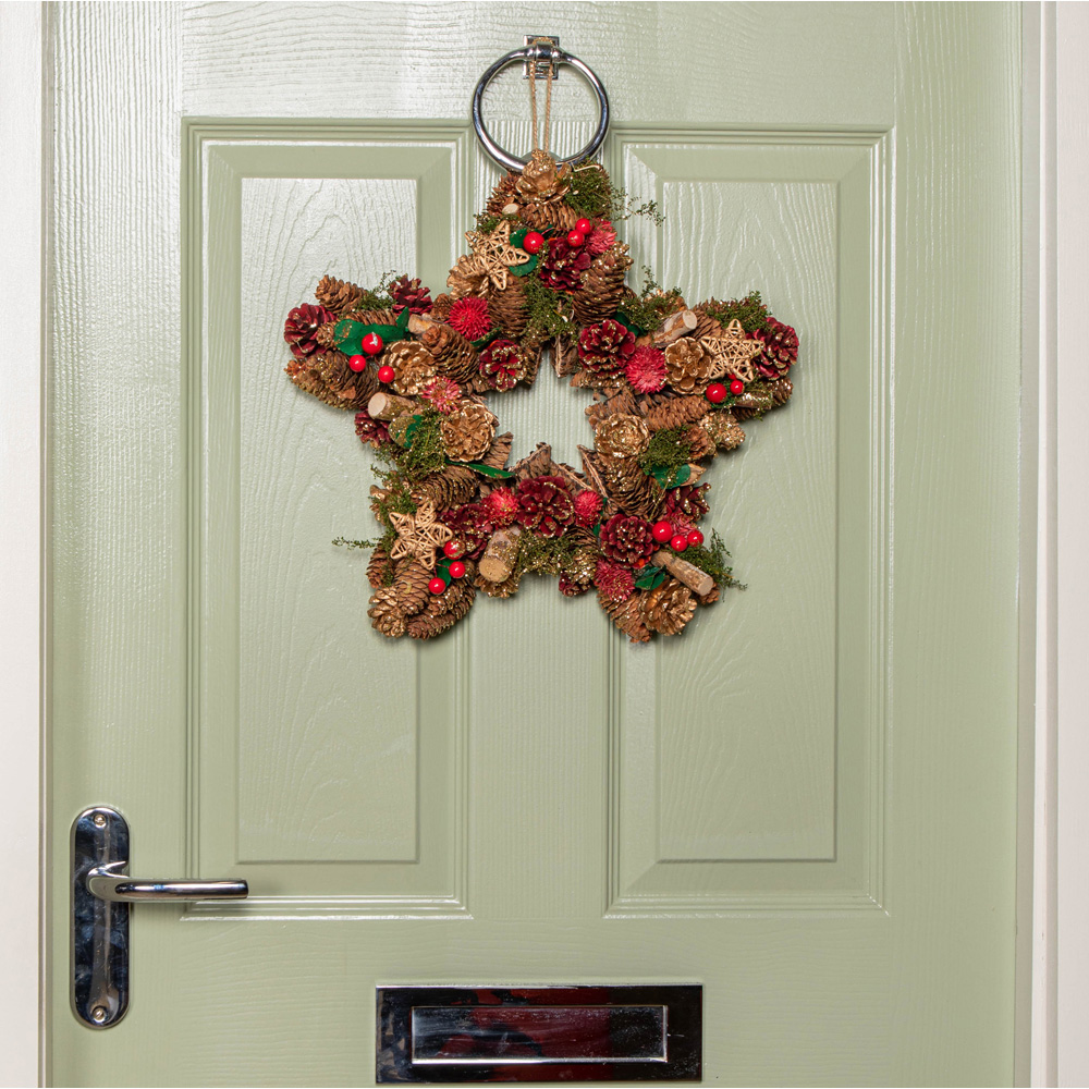 Samuel Alexander Red Star Wreath with Berries and Pinecones 35cm Image 9