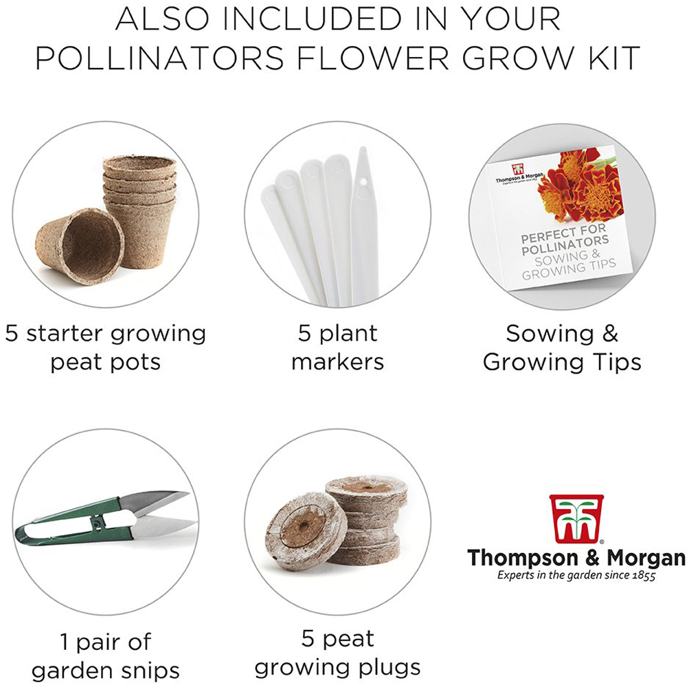 Thompson & Morgan Pollinators Flower Growing Kit Image 4