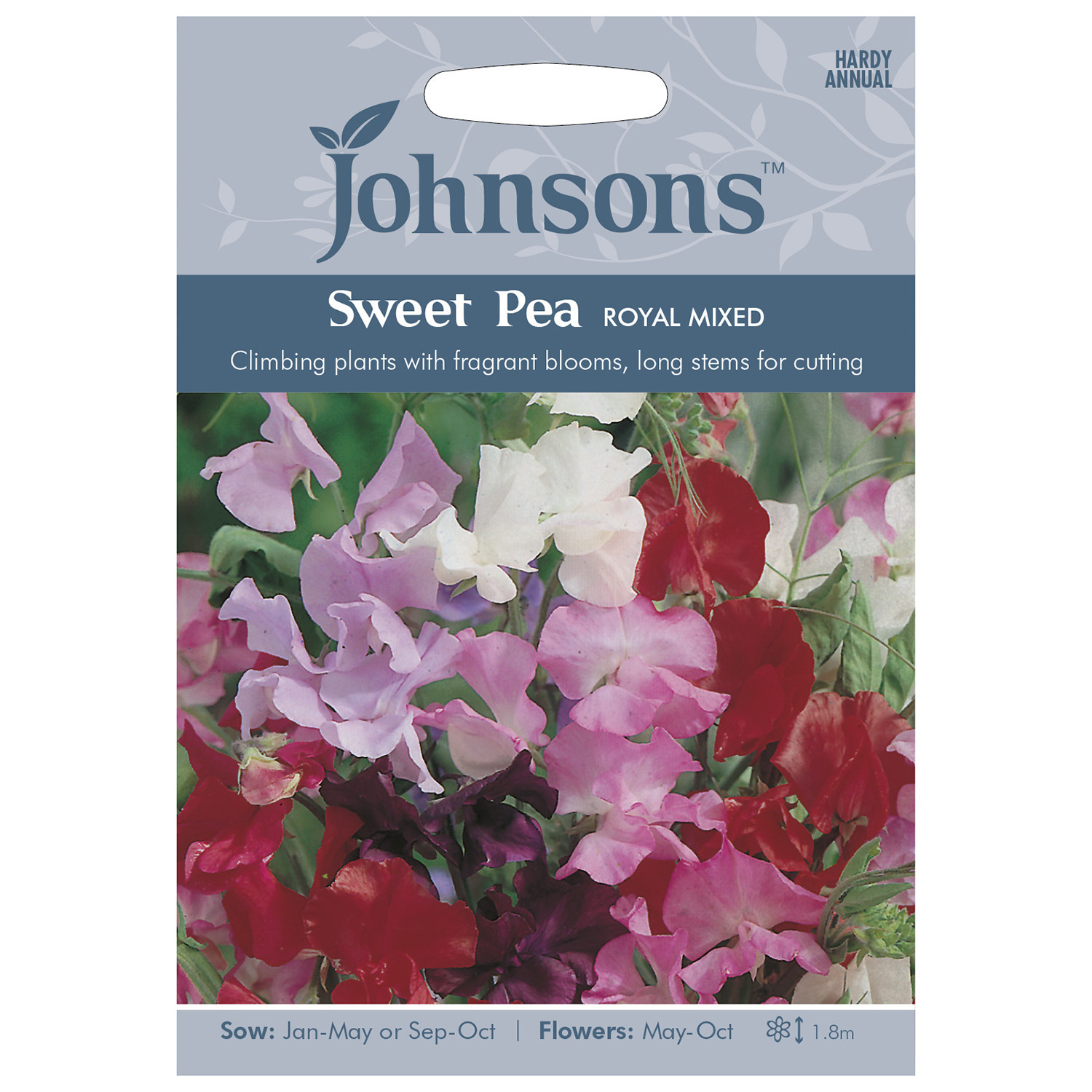 Johnsons Pack of Royal Mixed Sweet Pea Flower Seeds Image