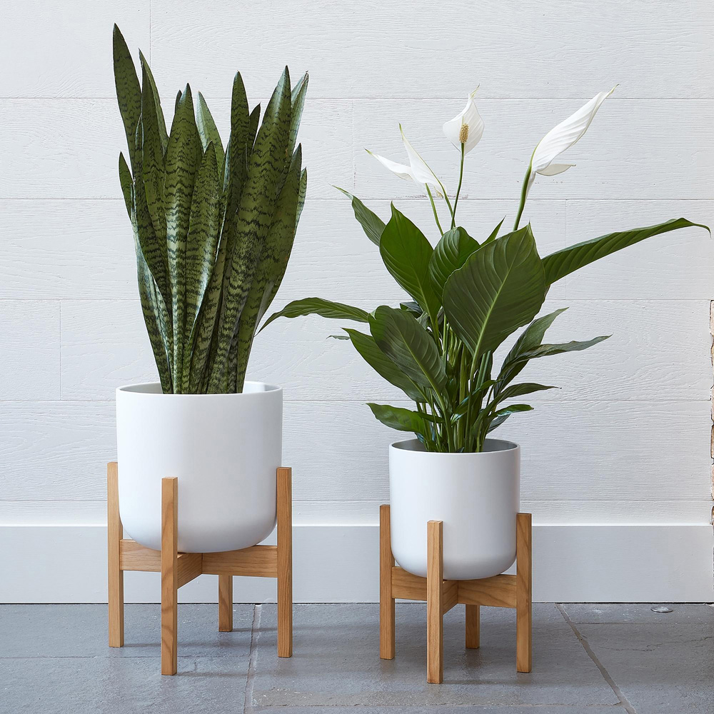 Ivyline Lisbon White Planter 26 x 26cm Image 2