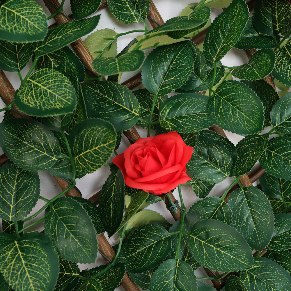 Expanding Red Rose Leaf Fence Green Image 6