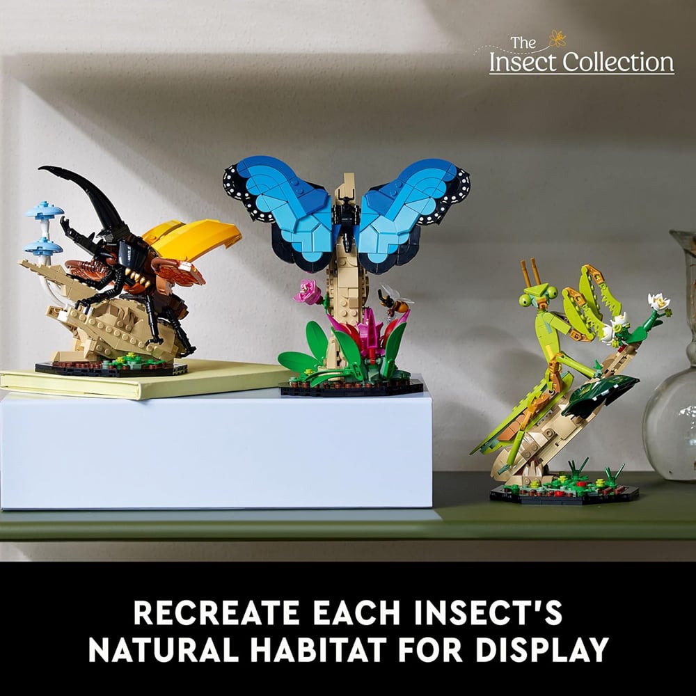 LEGO 21342 Ideas The Insect Collection Image 9
