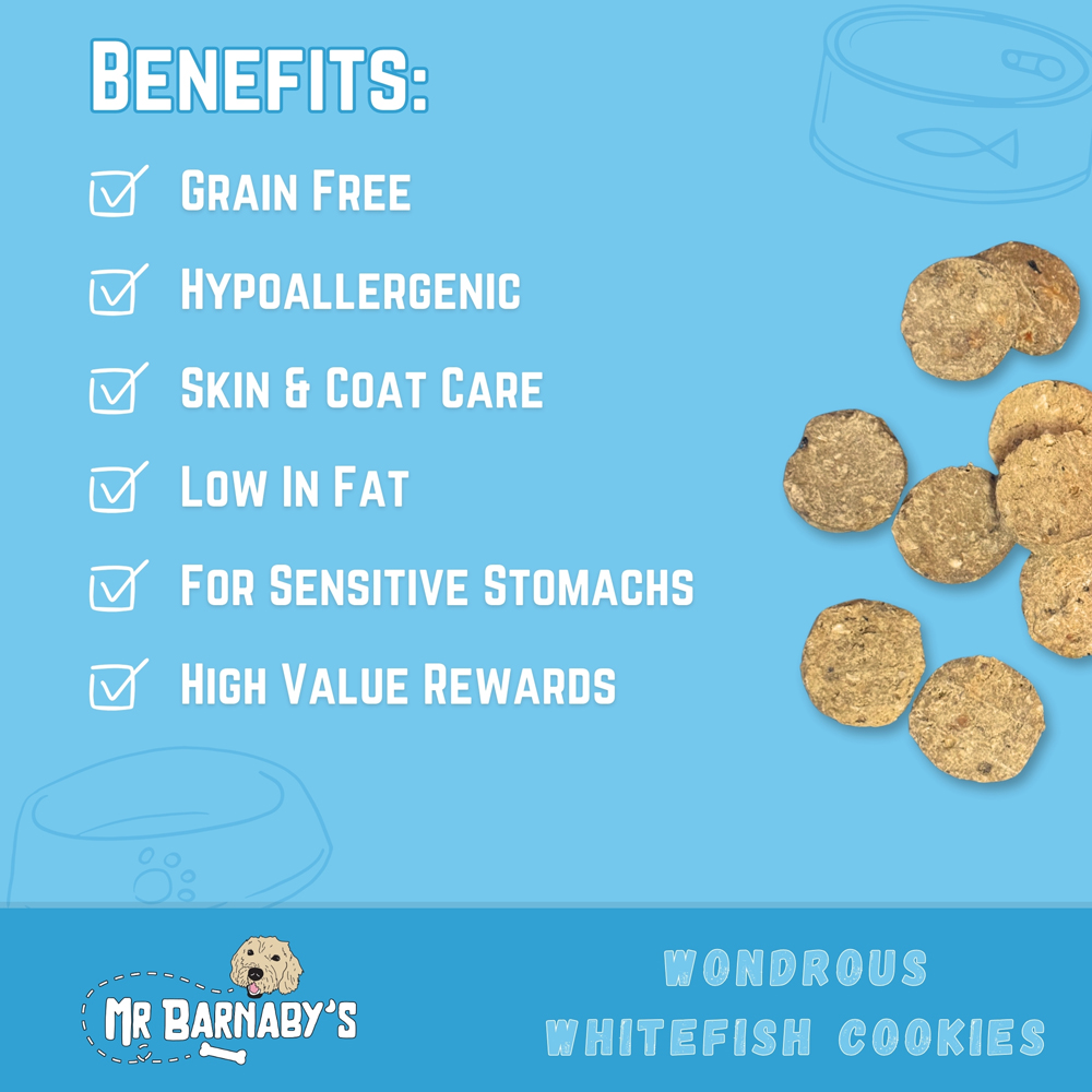 Mr Barnaby's Wondrous Whitefish Cookies Dog Treats 6 Pack Image 4