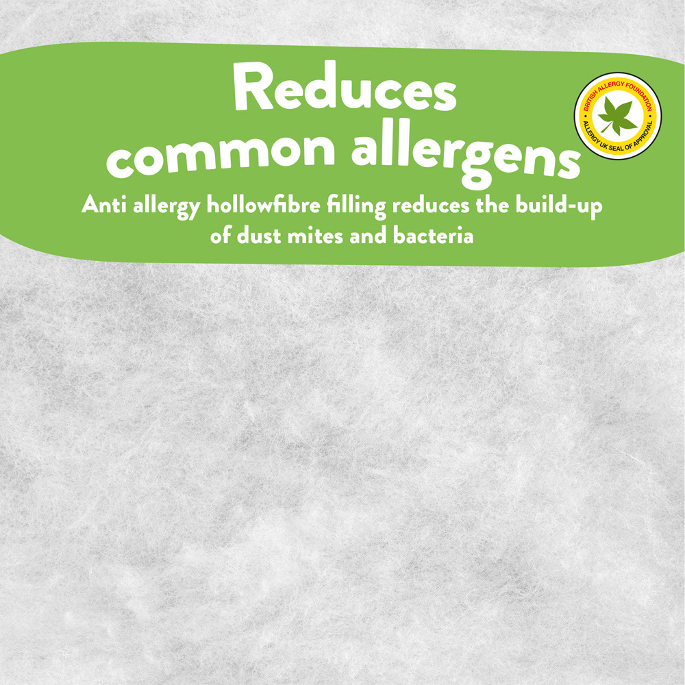 Slumberdown Single Sleep Soundly Anti Allergy Mattress Topper Image 7