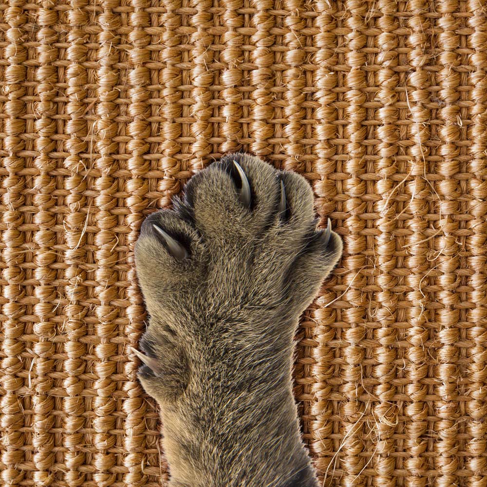SA Products Cat Scratching Mat Image 9