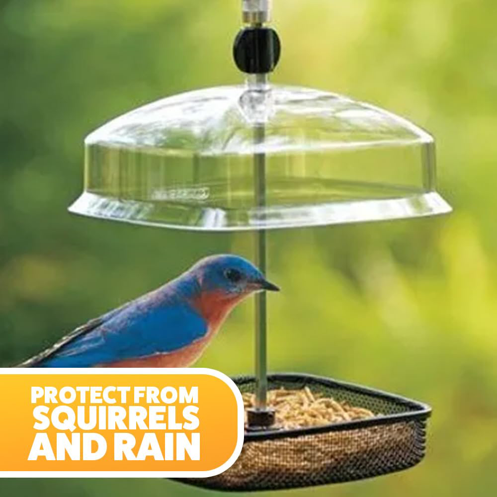 Marco Paul Deluxe Hanging Mealworm Bird Feeder with Canopy Image 3