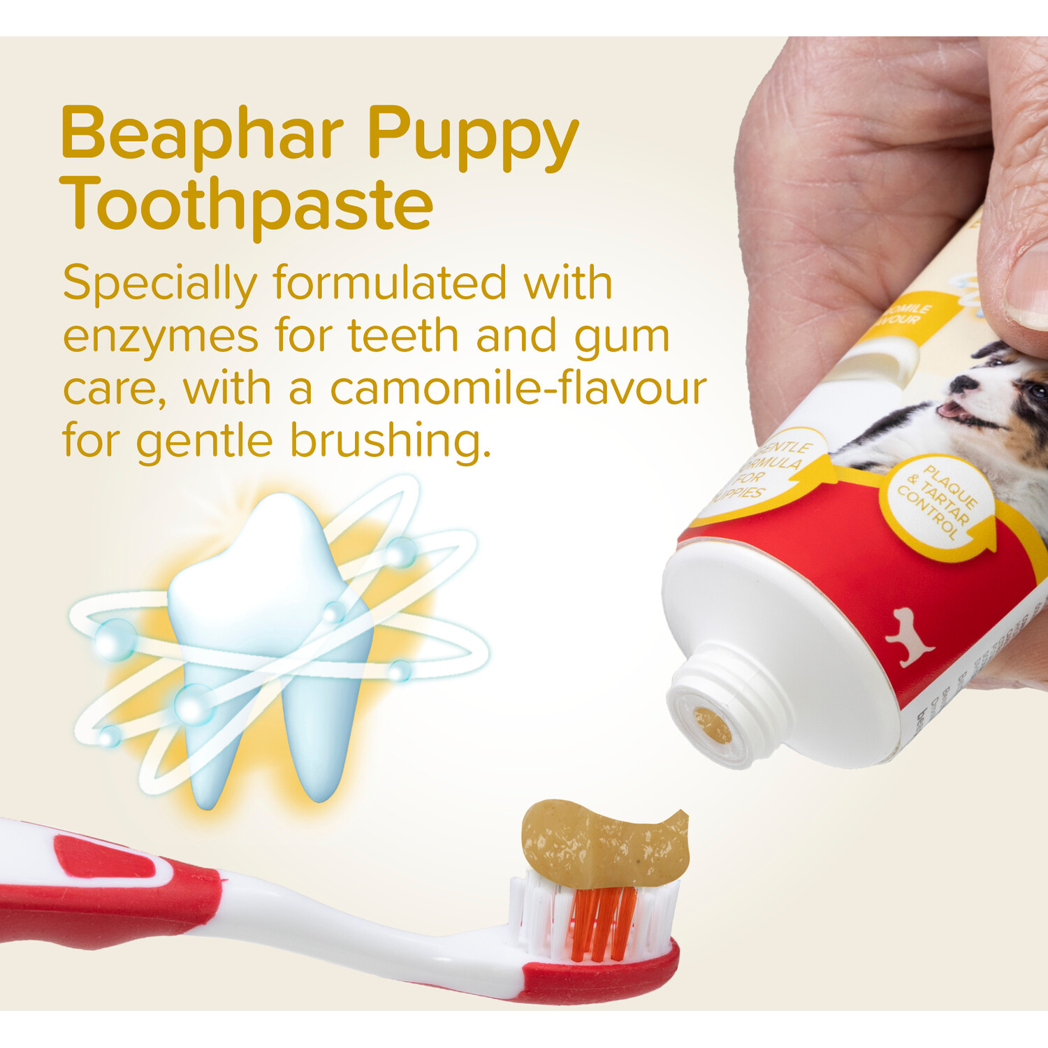 Beaphar Puppy Dental Kit Image 3