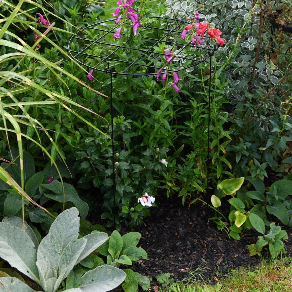Garden Gear Large Round Grow Through Grid Support 76 x 50 x 50cm 3 Pack Image 4