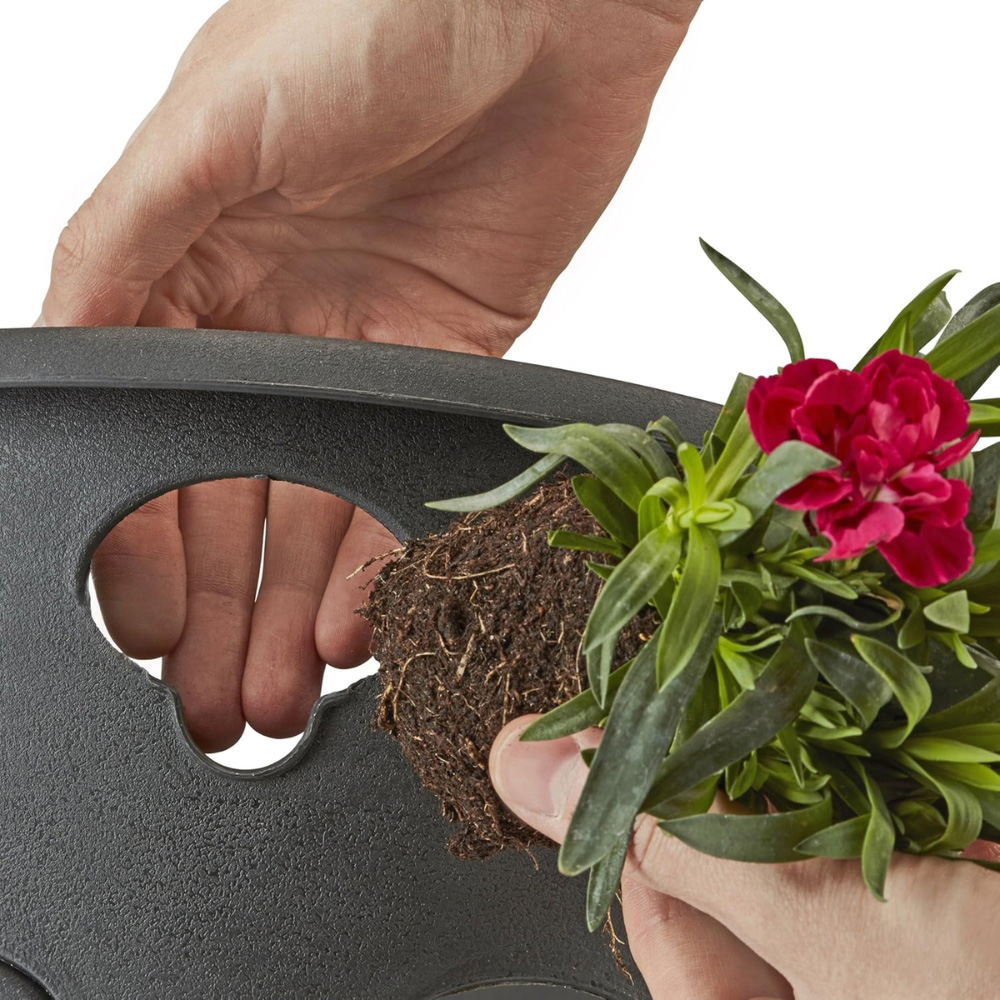 Thompson and Morgan BloomAround Garden Flower Hanging Plant Pot Baskets with Chains Image 3