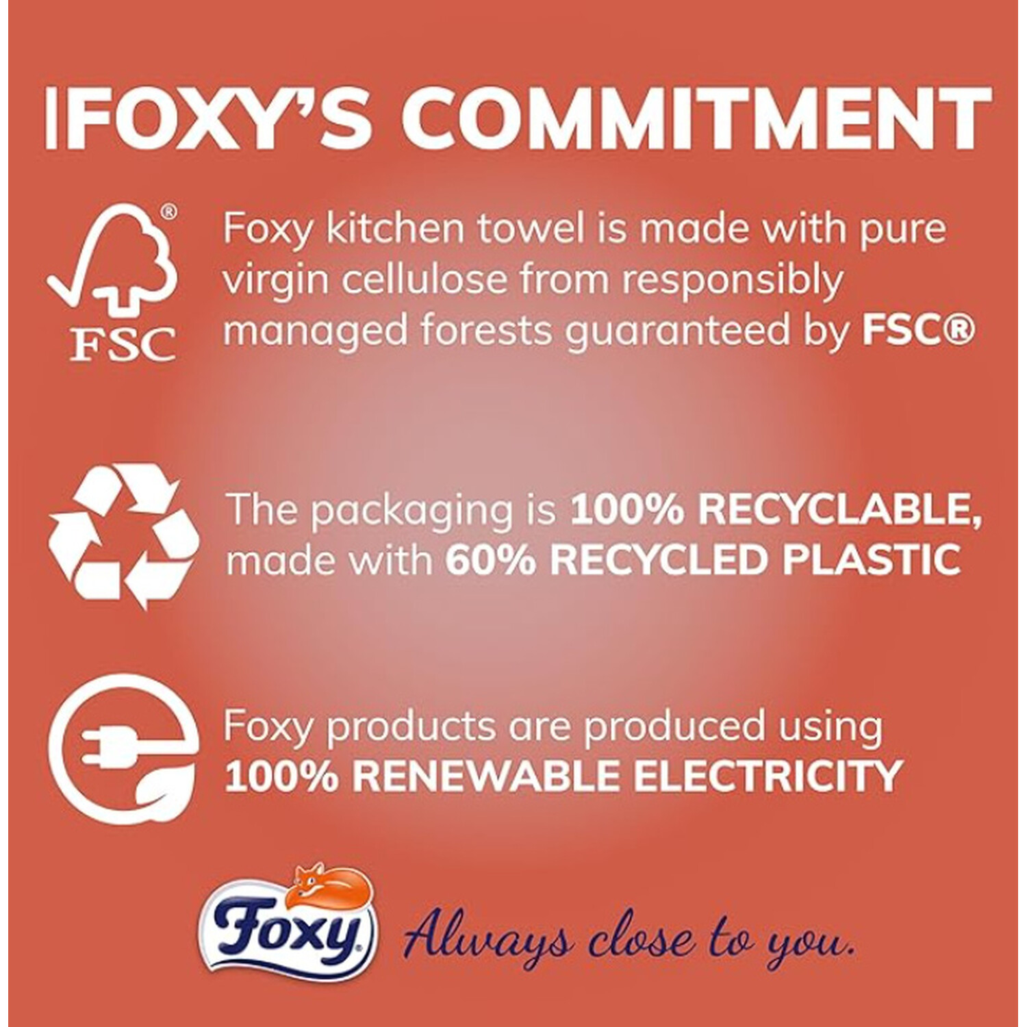 Pack of 2 Foxy Ultrawipe 3 Ply Kitchen Towels Image 5