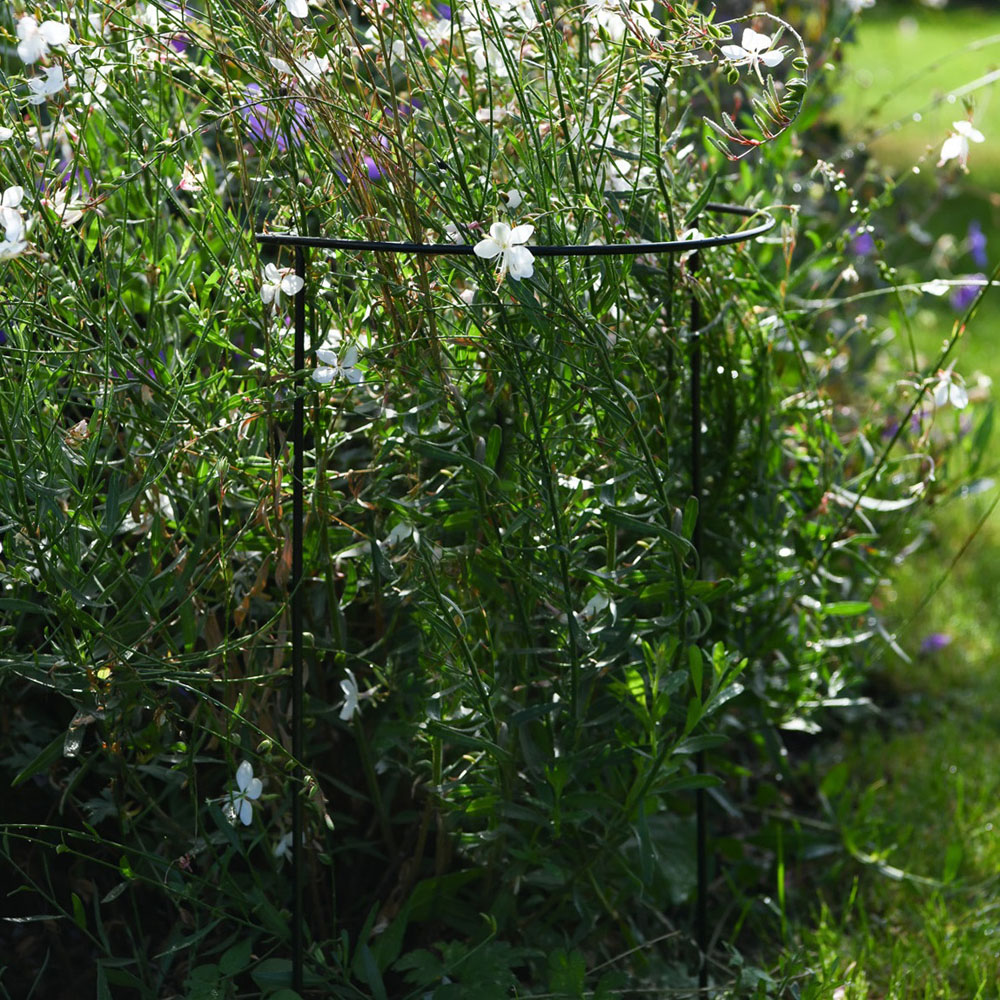 Garden Gear Half Round Plant Support 60cm 2 Pack Image 3