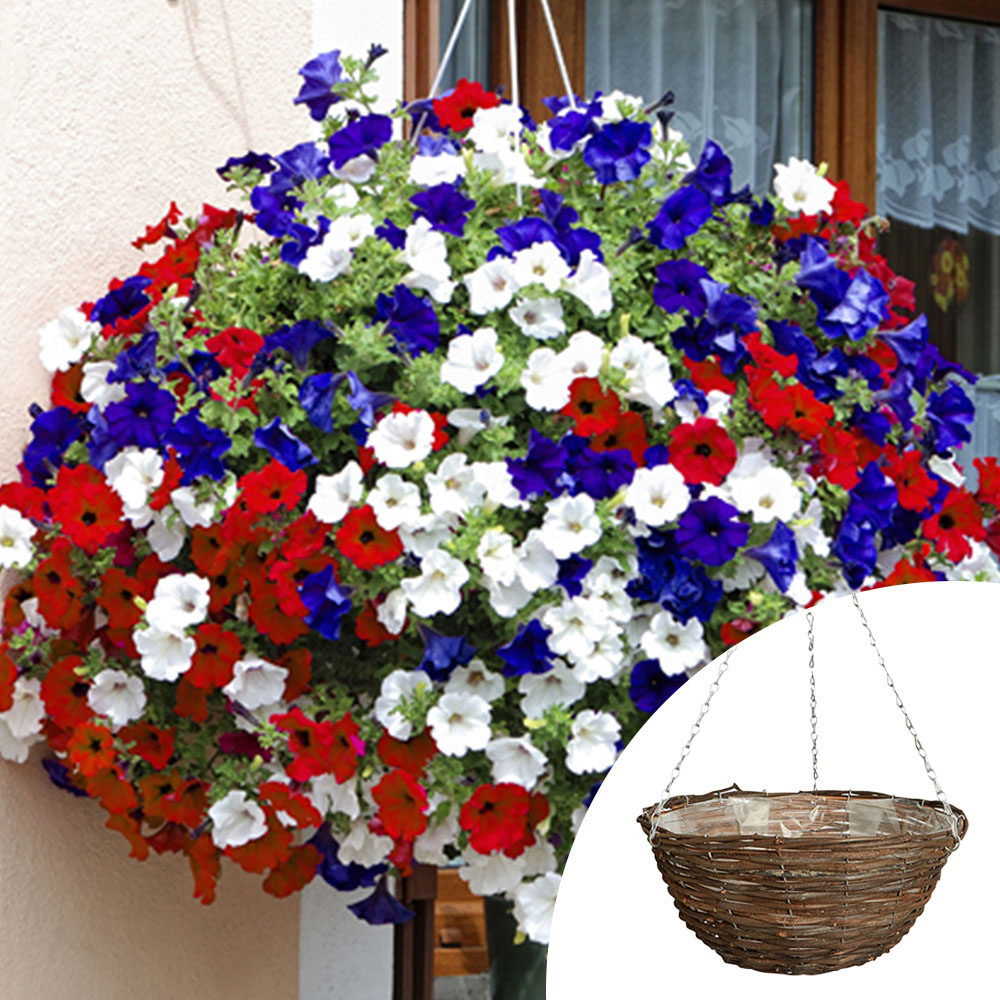 wilko Petunia Union Jack Rattan Hanging Basket Wilko