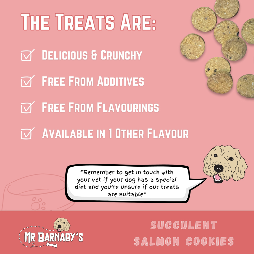 Mr Barnaby's Succulent Salmon Cookies Grain-Free Hypoallergenic Dog Treats 80g 2 Pack Image 6
