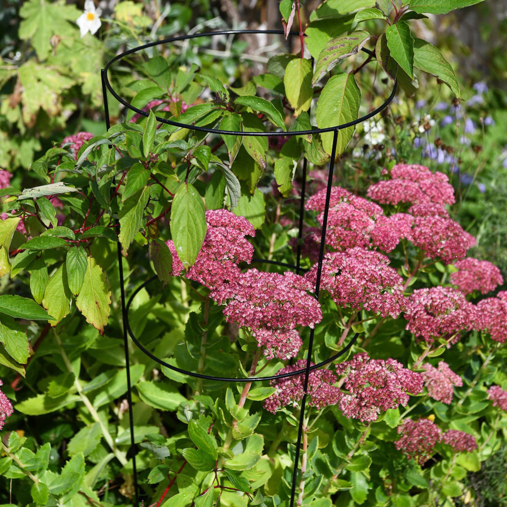 Garden Gear Large Conical Plant Support 60cm 3 Pack Image 2