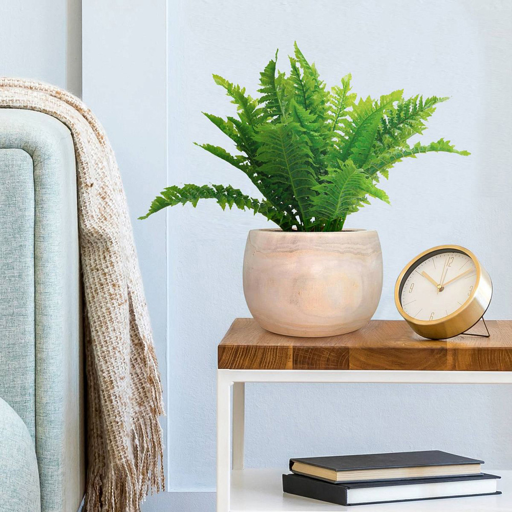 LECHUZA Hortico Eco Wooden Round Indoor Plant Pot 17 x 26cm 2 Pack Image 2