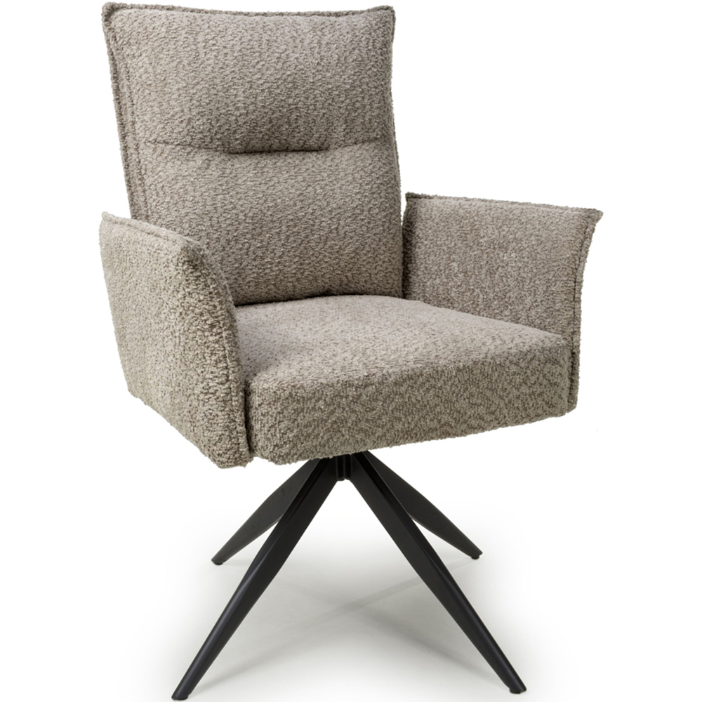 Brunswick Set of 2 Textured Chenille Effect Mink Swivel Chairs Image 2