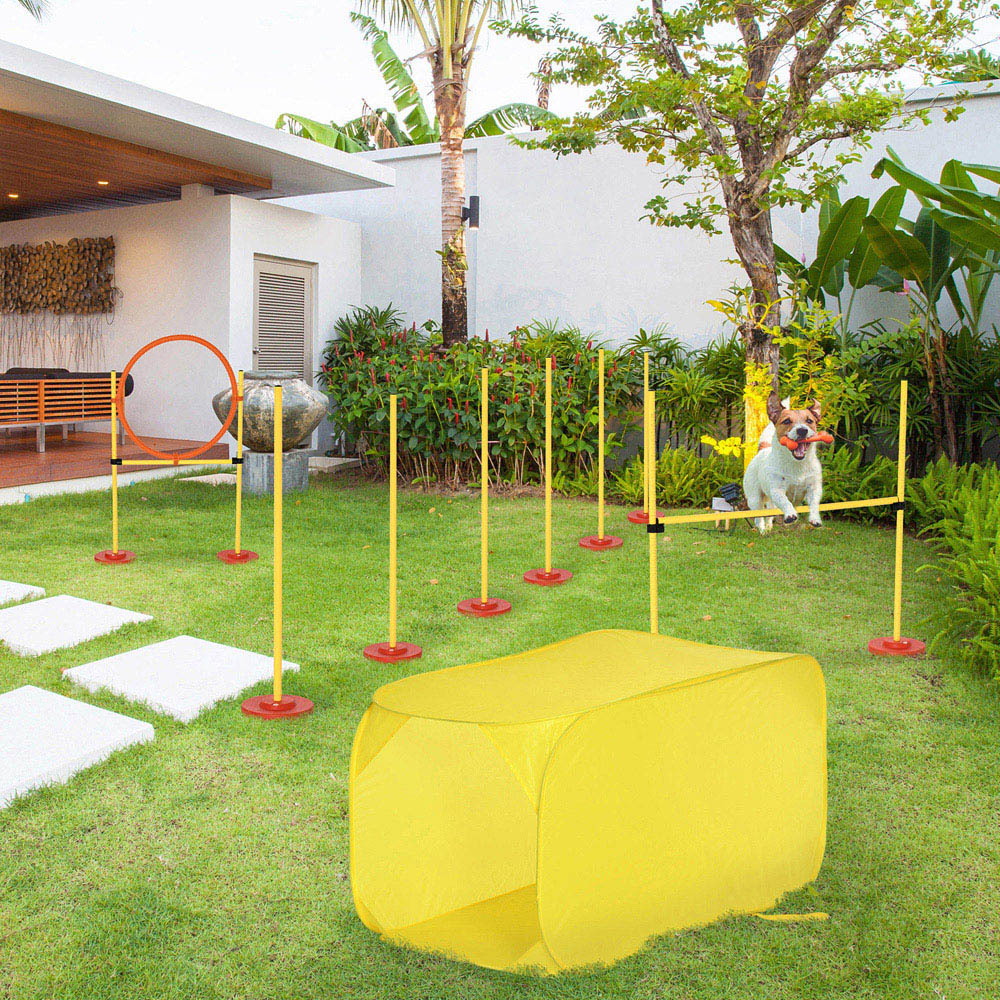 PawHut 4 Piece Dog Training Agility Set Image 6