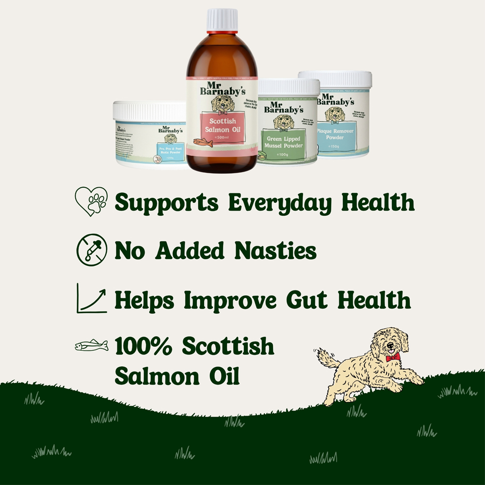 Mr Barnaby's Senior Dog Support Bundle Image 6