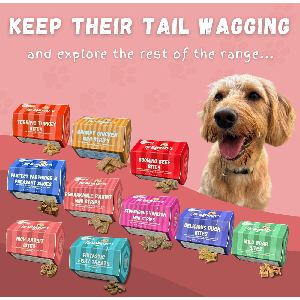 Mr Barnaby's Succulent Salmon Cookies Grain-Free Hypoallergenic Dog Treats 80g 2 Pack Image 8