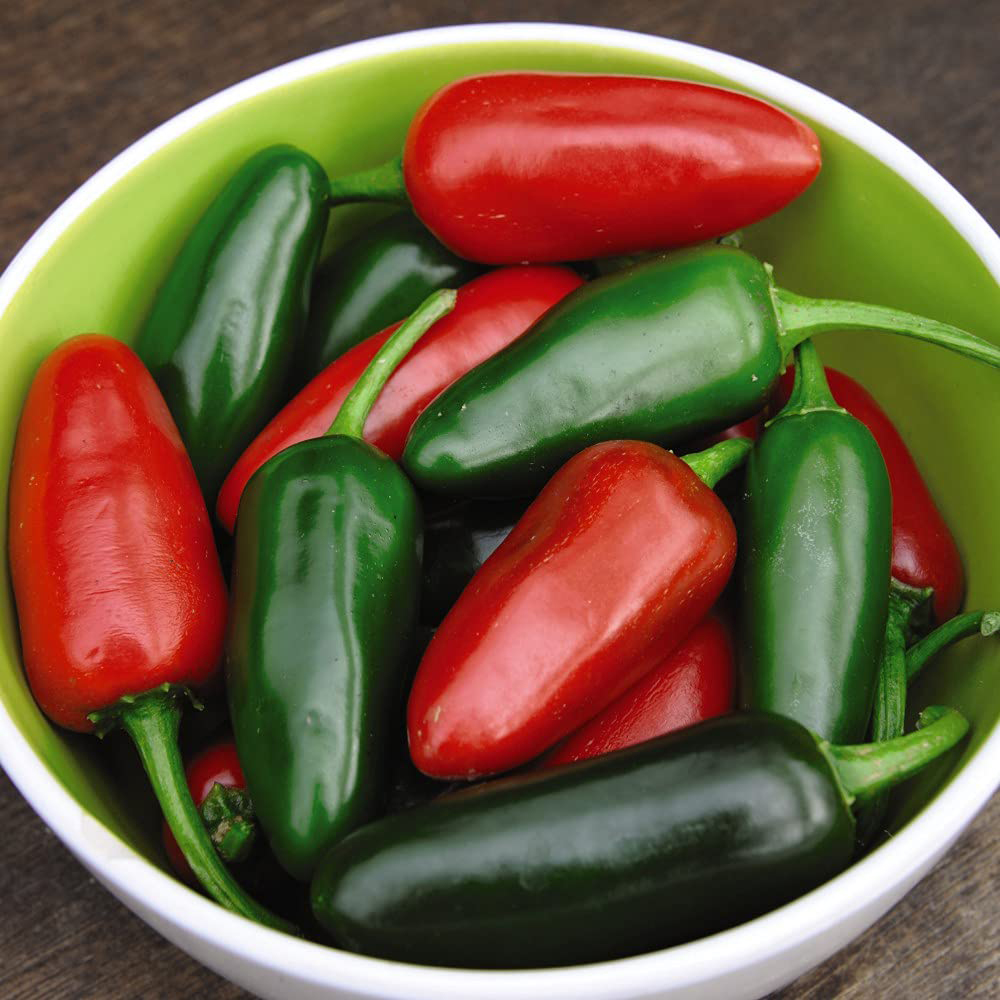 Thompson & Morgan Chilli Pepper Jalapeno M Seed Packet Image 3