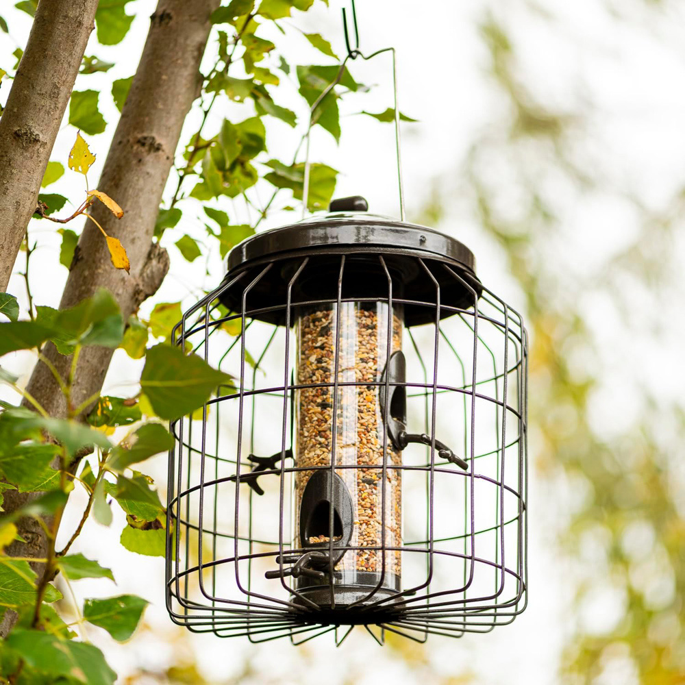 Thompson and Morgan Happy Beaks Premium Squirrel Proof Seed Feeder Image 2