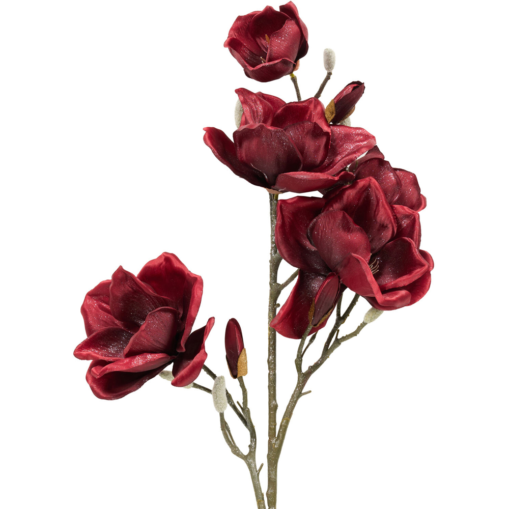 Shimmer Magnolia Stem Image 5
