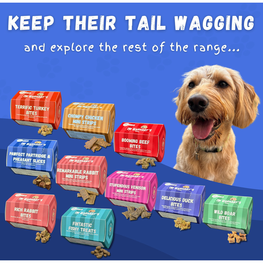 Mr Barnaby's Phenomenal Pheasant Bites Dog Treats 4 Pack Image 8
