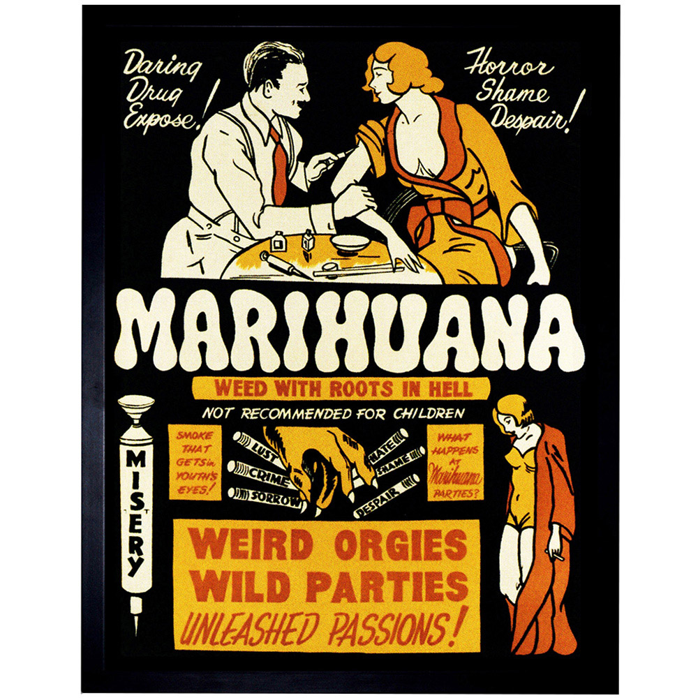 Wee Blue Coo Political Anti Drug Abuse Prohibition Framed Wall Art Print 30 x 41cm Image 1