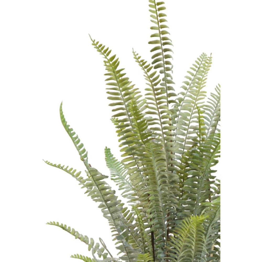 Botanik Lush Green Fern Artificial Plant in Pot 2ft Image 2